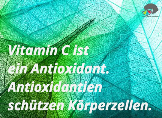 Vitamin C ist ein Antioxidant. Antioxidantien schützen Körperzellen.